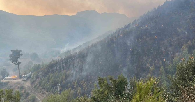 Alanya’daki yangına 95 araç ve 320 personelle müdehale ediliyor