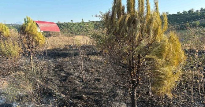 Osmaniye’de mesire alanından çıkan yangın söndürüldü