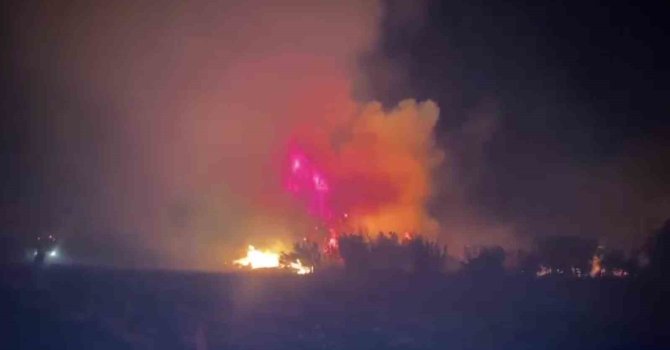 Serik’te çıkan orman yangınına ilk müdahaleyi vatandaşlar yaptı