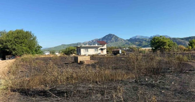Antalya’daki yangında seralar zarar gördü