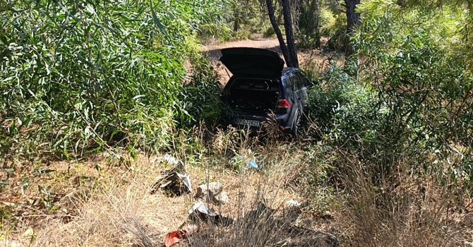 Önündeki otomobile çarptı, ardından ormana daldı: 1 yaralı