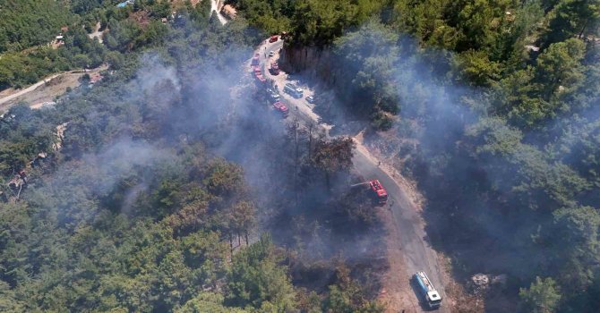 Alanya’da orman yangını 3 saatte kontrol altına alındı
