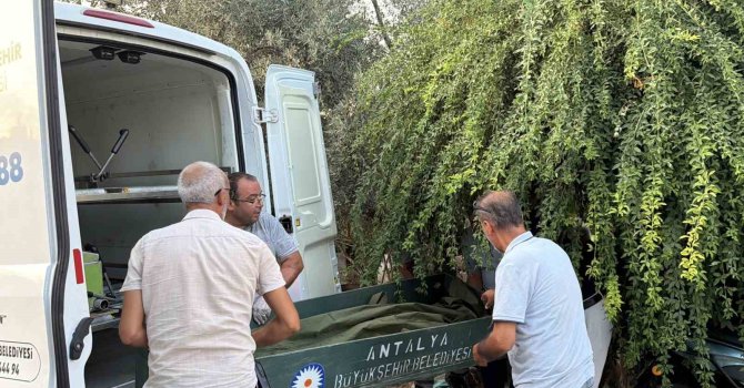Gazipaşa’da bir kişi evinin merdiveninde ölü bulundu