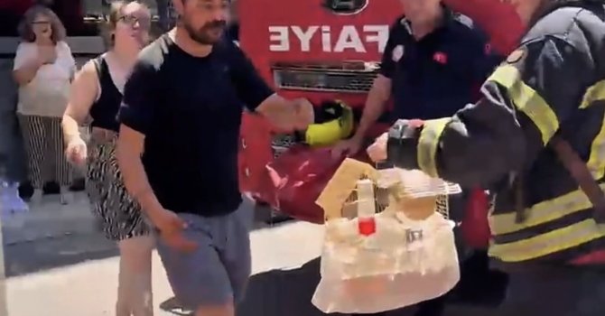Mersin’de yangında mahsur kalan cennet papağanını itfaiye kurtardı