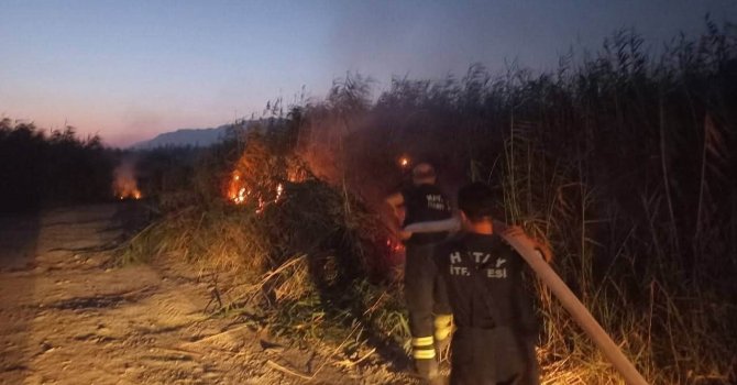 Samandağ’da kamışlık yangını