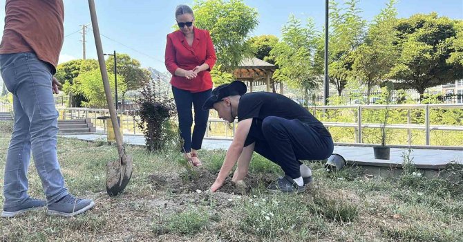 Konut dokunulmazlığını ihlal etti, adliye bahçesine 10 fidan dikti