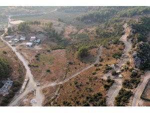 Manavgat’ta sokak hayvanlarına 75 dönümlük yaşam alanı