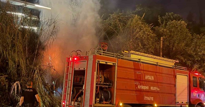 Alanya’da sazlık alanda yangın