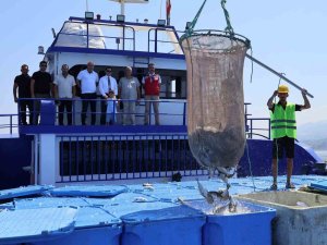 Arsuz’da üretilen balıklar Avrupa’ya ihraç ediliyor