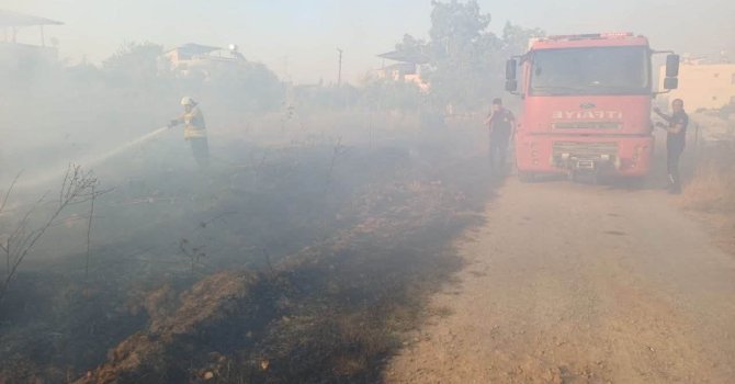Hassa’da zeytinlik yangını yaşandı