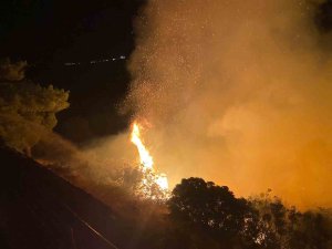 Gazipaşa’da orman ve makilik alandaki yangın söndürüldü