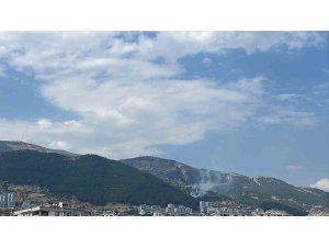 Kahramanmaraş’ta çıkan orman yangını kontrol altına alındı