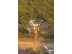 Direğe konan 5 leylekten 3’ü elektrik akımına kapılarak telef oldu