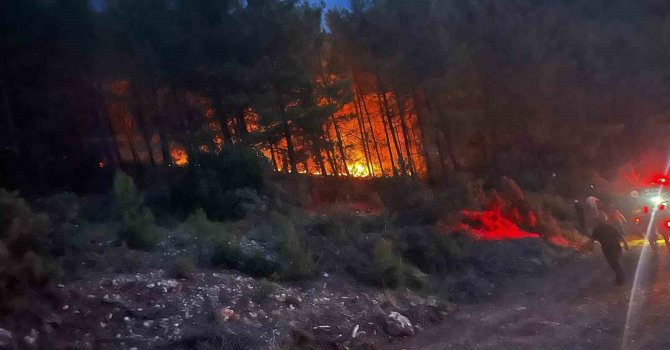 Alanya’da ormanlık alanda çıkan yangın kontrol altına alındı