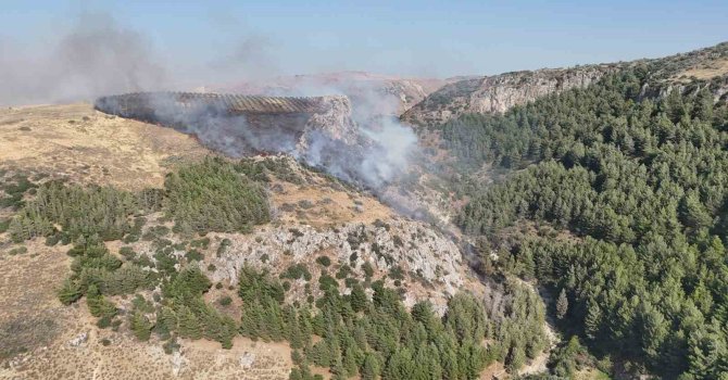 Hatay’da orman yangını çıktı