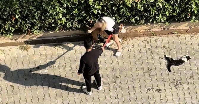 Ağızlıksız gezdirilen Pitbull kediyi parçaladı: Sahibi ’polisi aramayın’ diye yalvardı