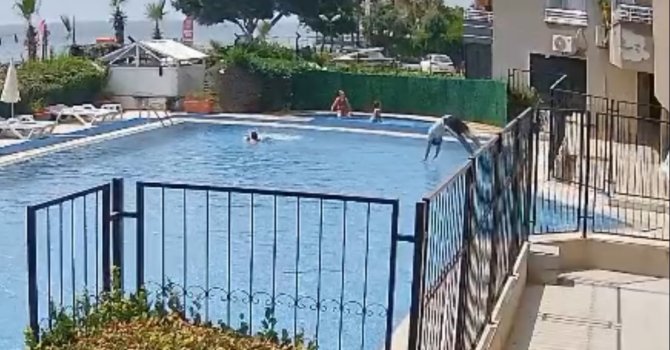 Boğulmak üzere olan çocuğu havuz görevlisi kurtardı