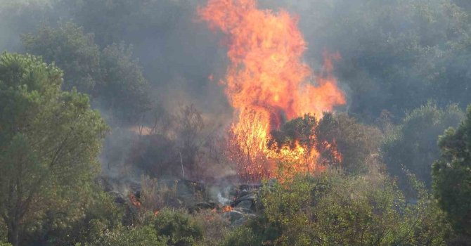 Antalya’da iki ilçede çıkan orman yangınları kontrol altına alındı