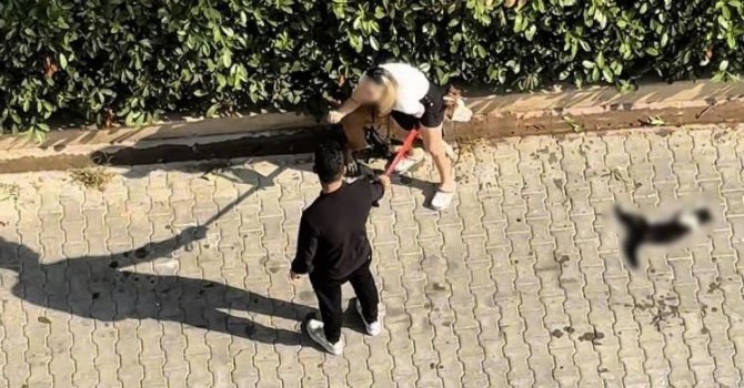 Adana’da kediyi parçalayan pitbullun sahibine 95 bin lira ceza