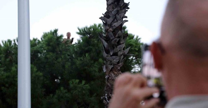 Bunalıma girip çam ağacına tırmandı, sıcaktan da bunalınca suyla ikna edildi