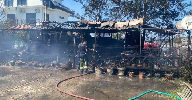 Antalya’da baraka yangında küle döndü, alevler villa ve lojmanlara sıçramadan söndürüldü