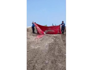 Moloz yığınları arasındaki Türk bayrağını öpüp, başına koyan polis takdir topladı
