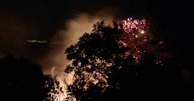 Alanya’da gece saatlerinde çıkan orman yangını kontrol altına alındı