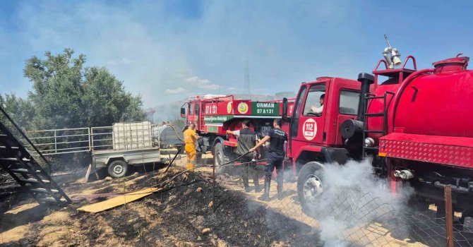 Antik kente yakın zeytinlik alanda yangında 1,25 dönüm zarar gördü