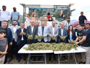 Kahramanmaraş’ın Karadeniz’i Kalekaya’da Fındık Festivali