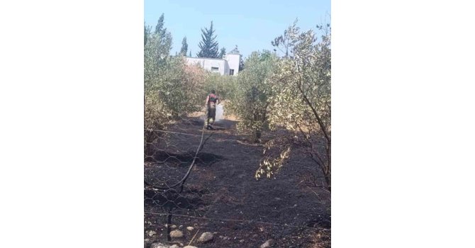 Dörtyol’da bahçe yangını kontrol altına alındı