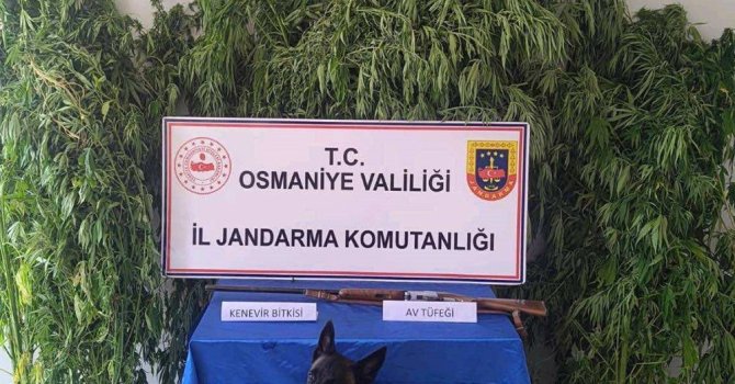 Osmaniye’de jandarma bir haftada 128 şüpheli yakaladı