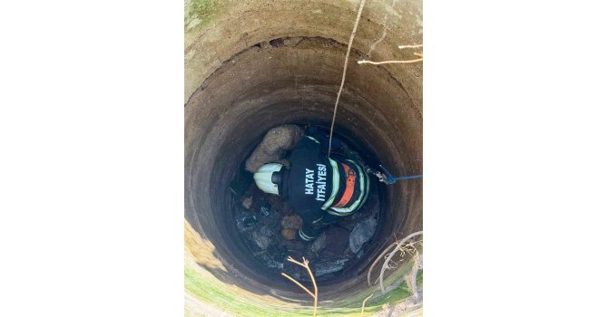 Antakya’da kuyuya düşen 2 koyun kurtarıldı