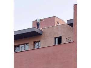İş yerinde çalan oyun havasını duyan inşaat işçileri binanın tepesinde oynadılar