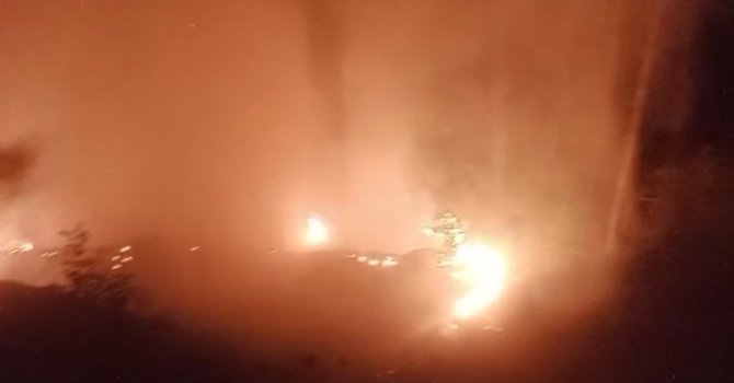 Alanya’da ormanlık alan yangınında 2 dönüm alan zarar gördü