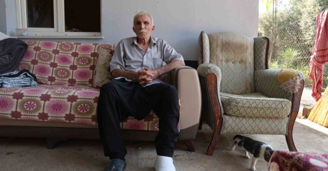 Yaşlı adama çarpıp hiçbir şey olmamış gibi yoluna devam etti