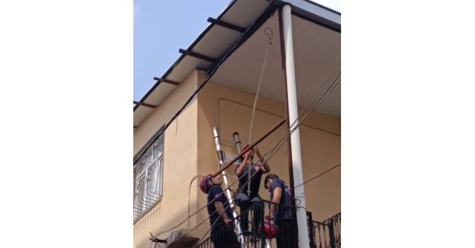 Adana’da tavana sıkışan güvercini itfaiye kurtardı
