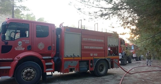Yayladağı’nda ormanlık alan yangını kontrol altına alındı