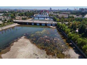 Seyhan Nehri’nde sular çekildi, kirlilik ortaya çıktı