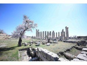 Mersin’de 2 bin 300 yıllık antik kent Arkeoköy ile canlanıyor
