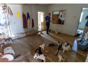 Mersin’de ‘çöp ev’ ihbarından yaklaşık 100 kedi çıktı