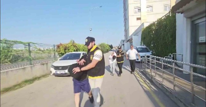 Bıçaklayıp öldürdüler evde oturmaya devam ettiler
