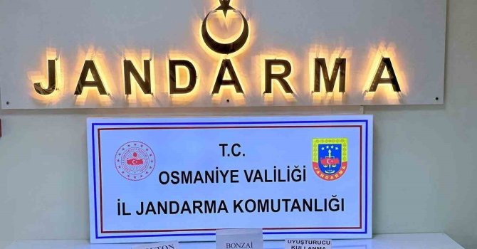 Osmaniye’de jandarmadan patlayıcı ve silah operasyonu