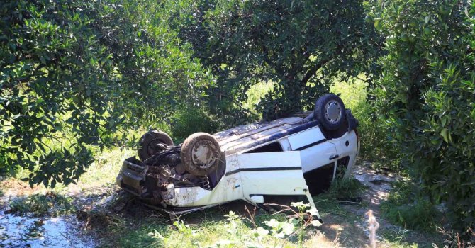 Önüne çıkan kediye çarpmamak için direksiyonu kırınca bahçeye uçtu