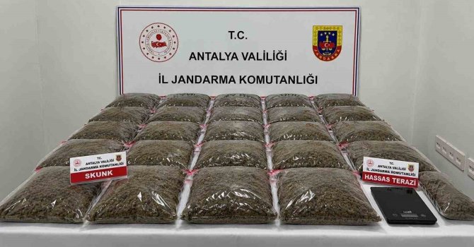 Uyuşturucu operasyonunda 13 şüpheli yakalandı