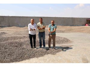 Kahramanmaraş’ta ay çekirdeği hasadı