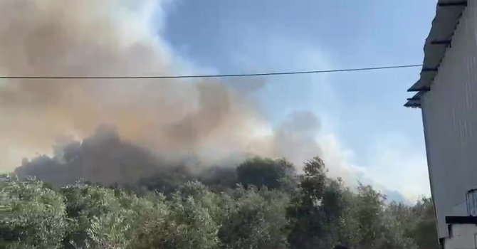 Aksu’da ormanlık ve zeytinlik alanda yangın