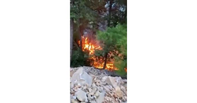 Alanya’da yıldırımın düşmesiyle yangın çıktı: 1 dönüm alan zarar gördü