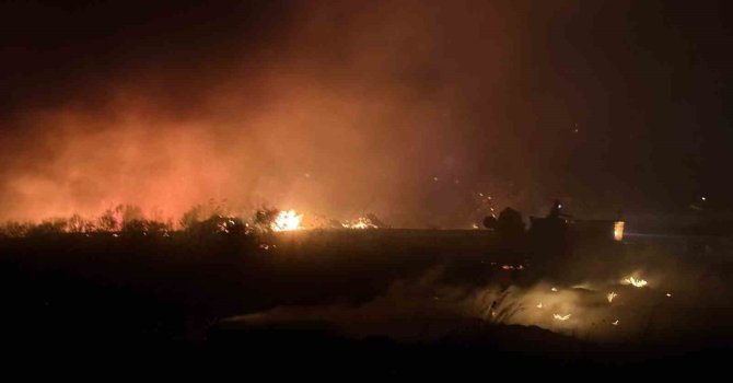 Antalya’da otluk yangını 30 dönümlük alanda etkili oldu