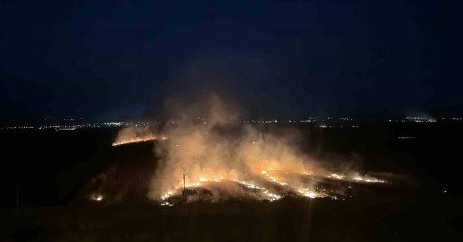 Osmaniye’de anız yangını