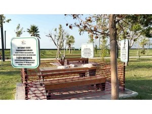 Çevre kirliliğine dikkat çekmek için vatandaşın bıraktığı pislik ‘sanat eseri’ olarak sergilenmeye başladı